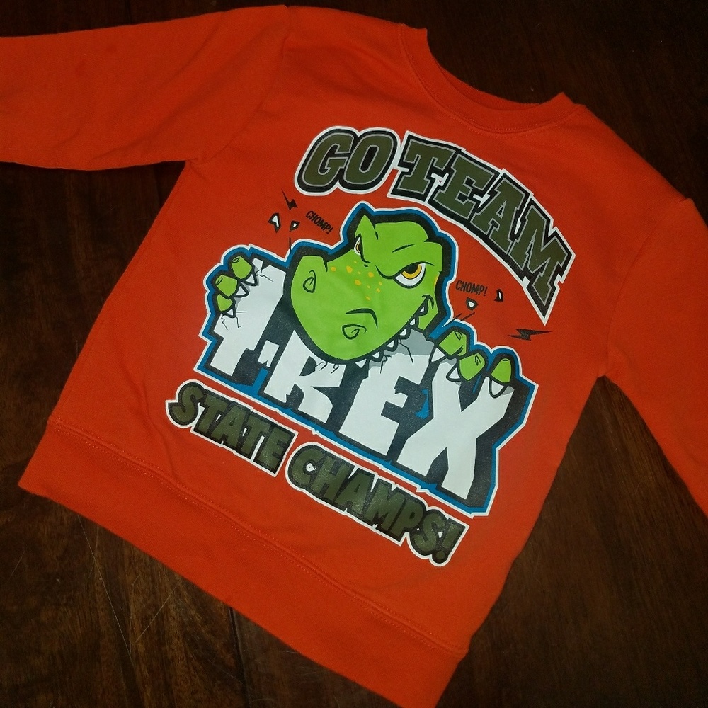 🚫SOLD🛇 4t sweatshirt